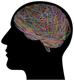 San Diego Brainspotting Neuroscience